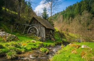 selva negra alemania