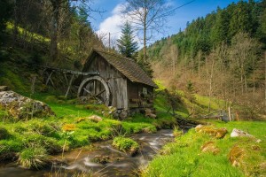 selva negra alemania