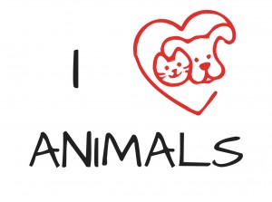 Amor por los animales