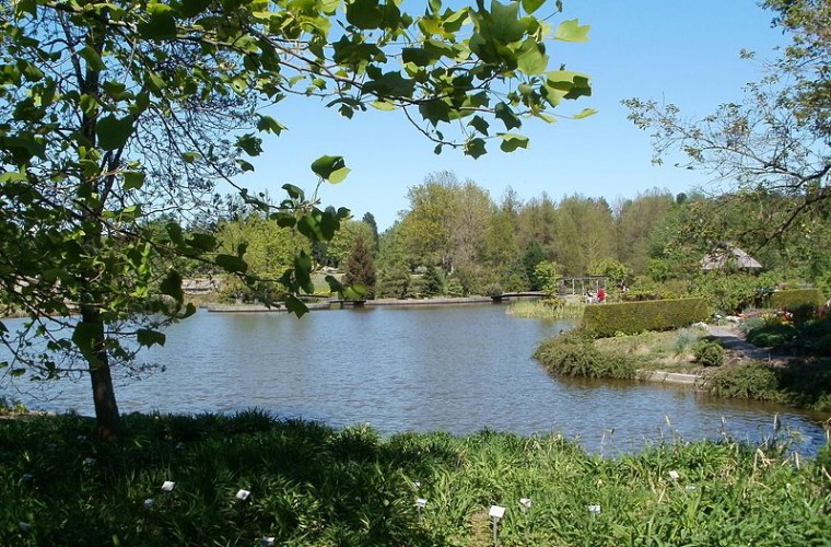 Jardín Botánico de Hamburgo