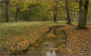 Otoño en Múnich