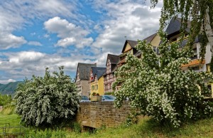 Verano en Colonia, Alemania.