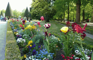 Alemania en Primavera