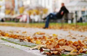 Otoño en Alemania