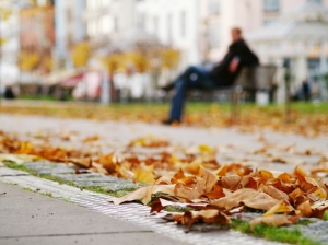 Otoño en Alemania