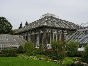 Invernadero del Jardín Botánico de Berlín